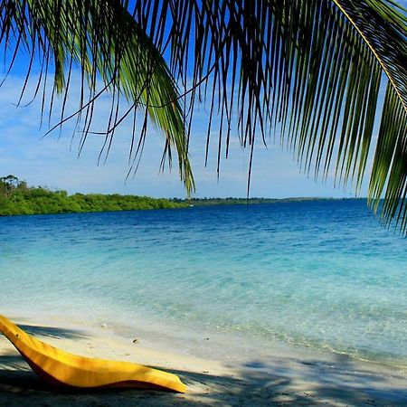 Coconut Hostel Bocas Town Dış mekan fotoğraf