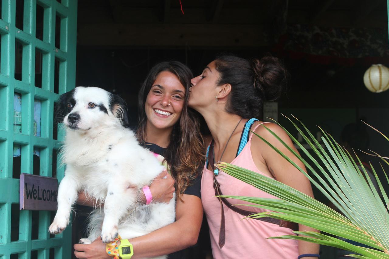Coconut Hostel Bocas Town Dış mekan fotoğraf