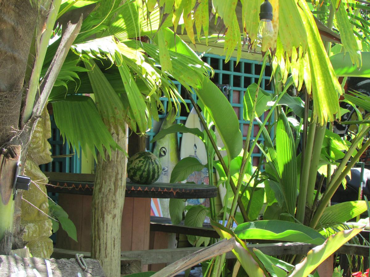 Coconut Hostel Bocas Town Dış mekan fotoğraf