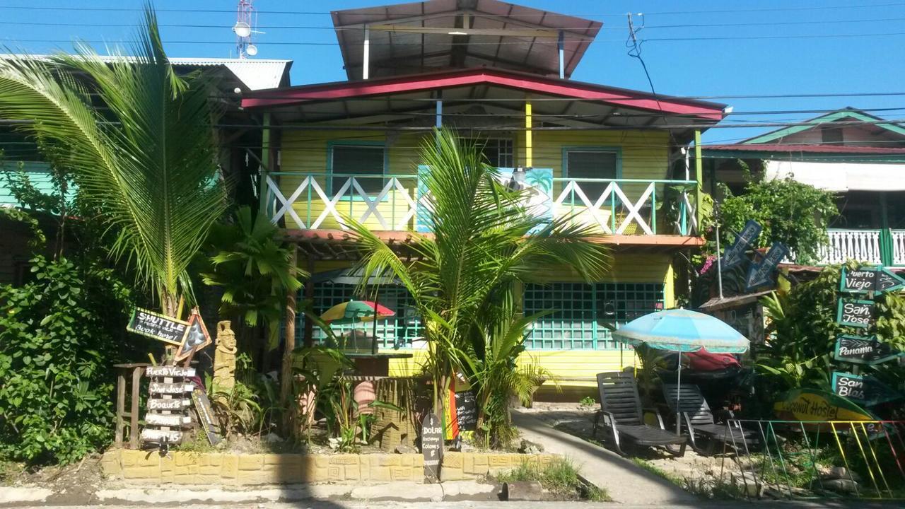 Coconut Hostel Bocas Town Dış mekan fotoğraf