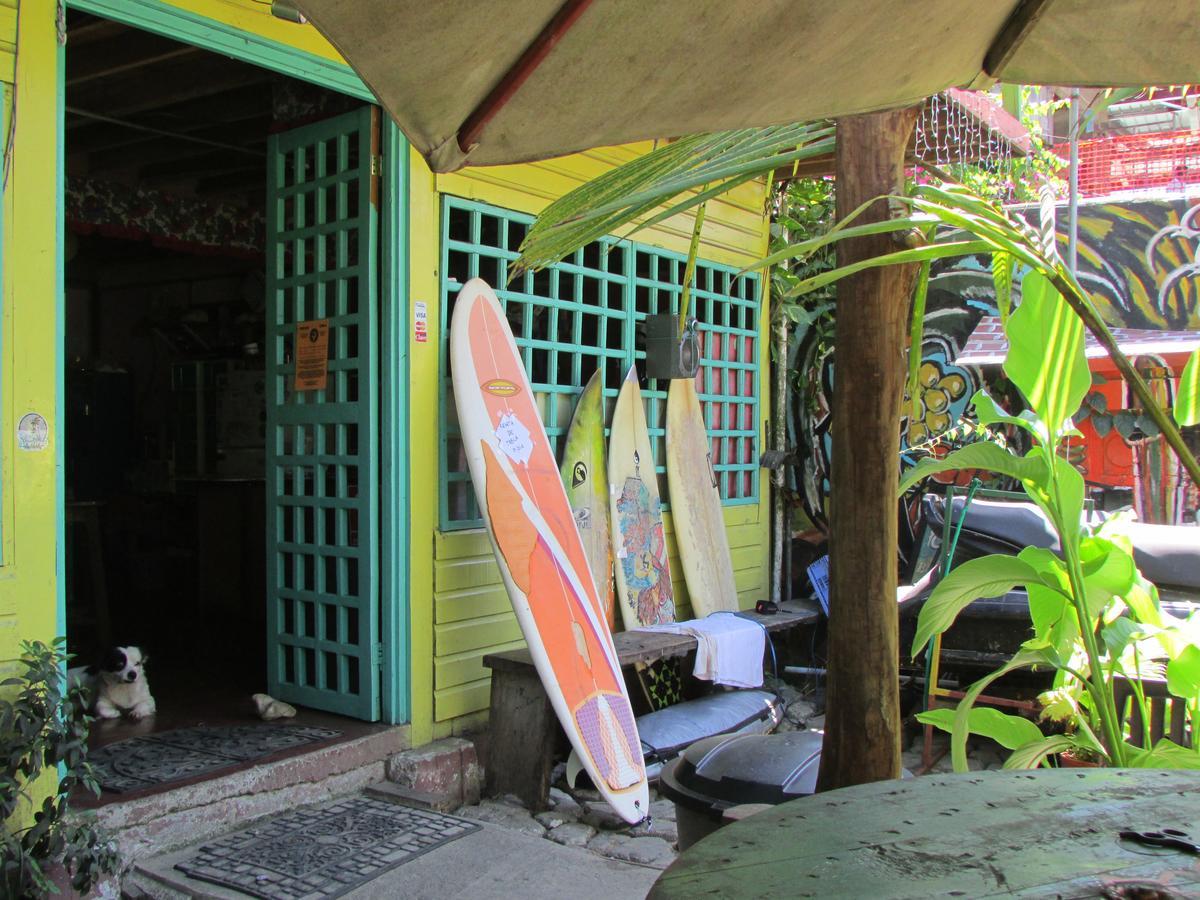 Coconut Hostel Bocas Town Dış mekan fotoğraf
