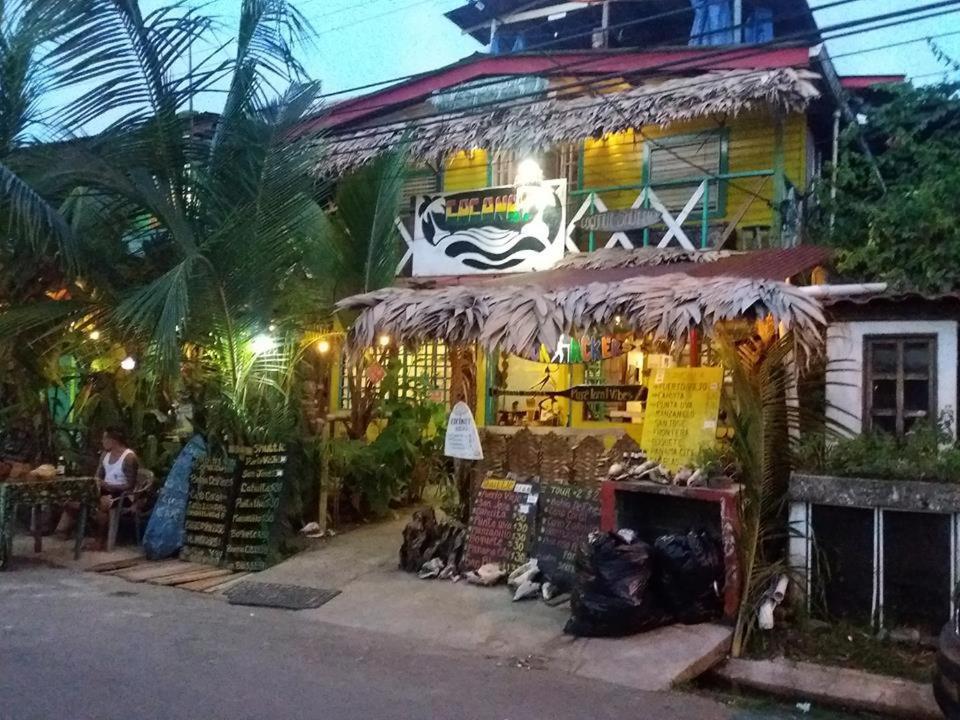 Coconut Hostel Bocas Town Dış mekan fotoğraf