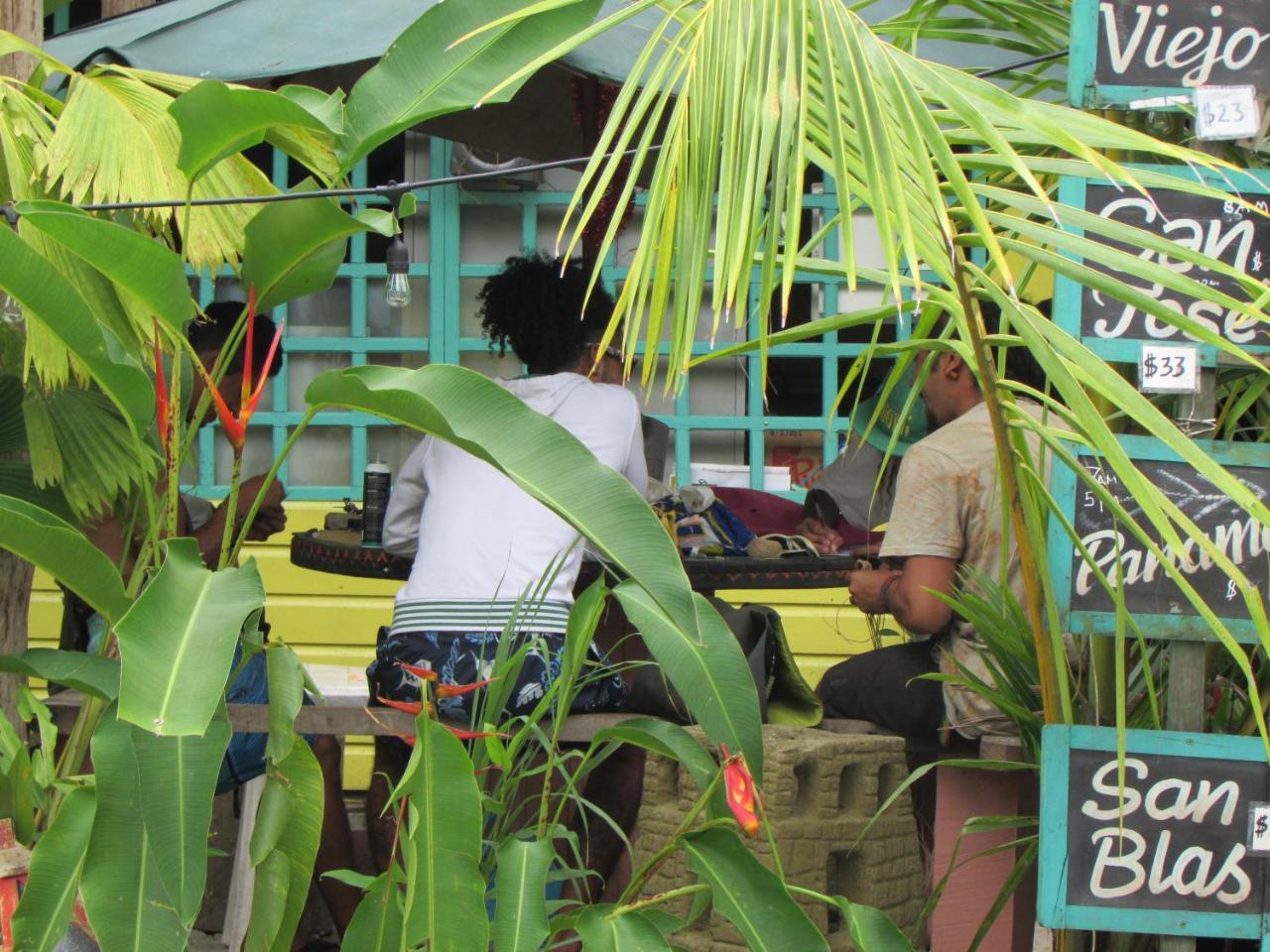 Coconut Hostel Bocas Town Dış mekan fotoğraf