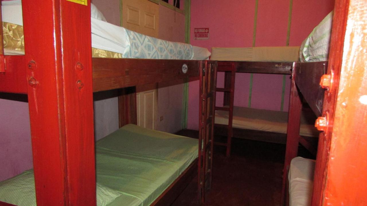 Coconut Hostel Bocas Town Dış mekan fotoğraf