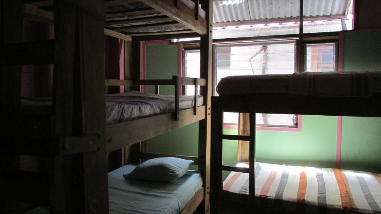 Coconut Hostel Bocas Town Dış mekan fotoğraf