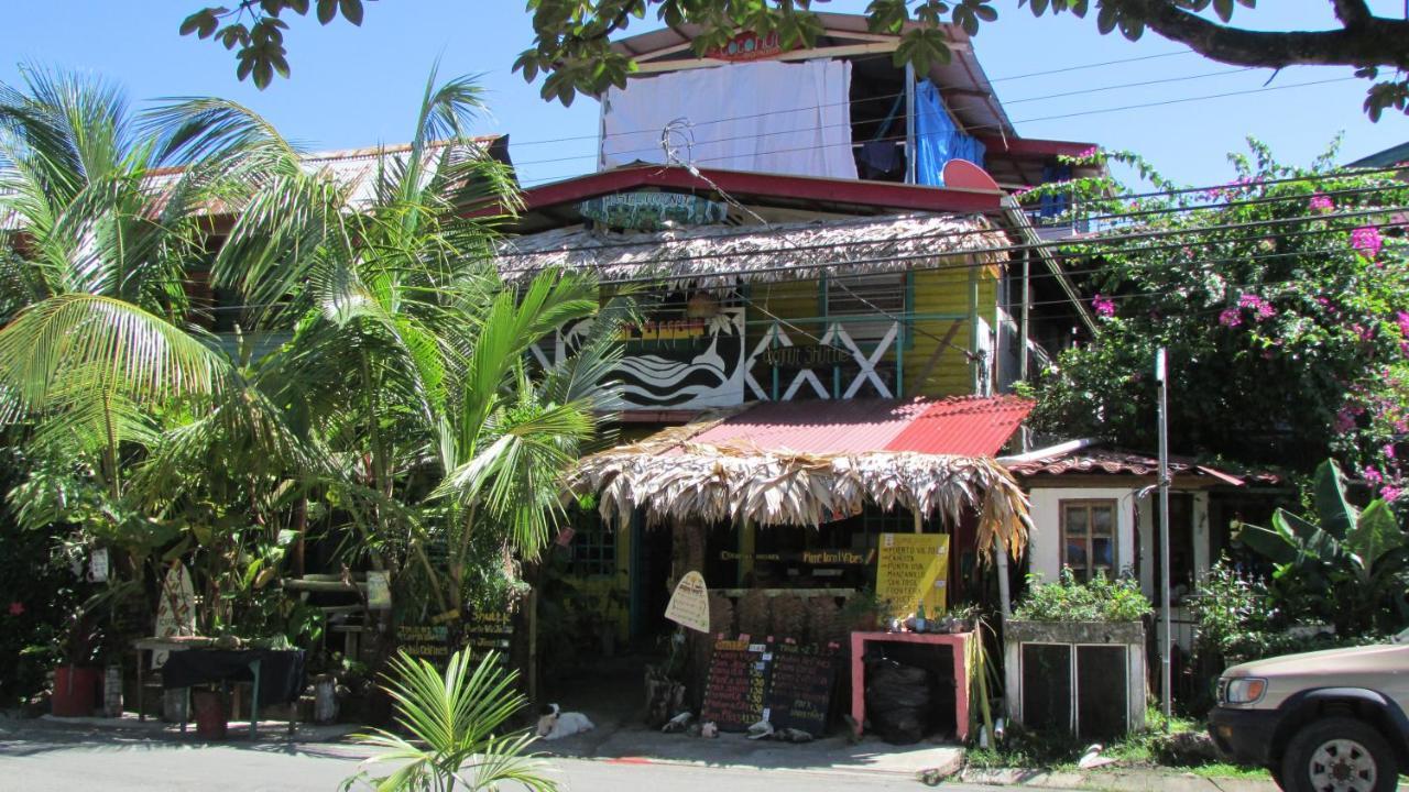 Coconut Hostel Bocas Town Dış mekan fotoğraf