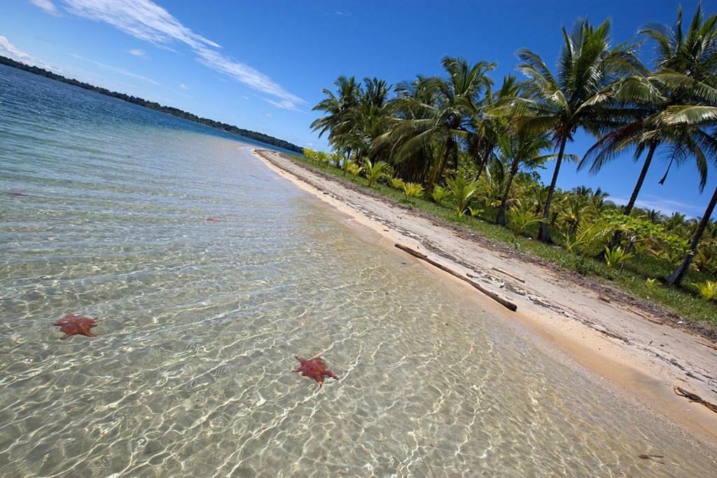 Coconut Hostel Bocas Town Dış mekan fotoğraf