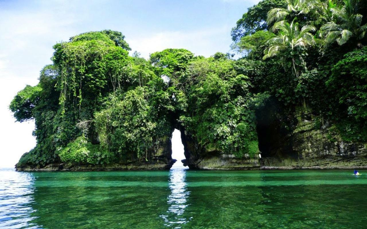 Coconut Hostel Bocas Town Dış mekan fotoğraf