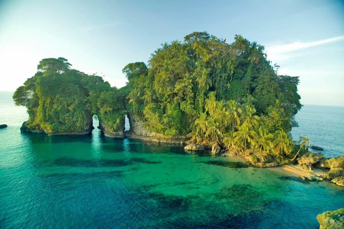 Coconut Hostel Bocas Town Dış mekan fotoğraf
