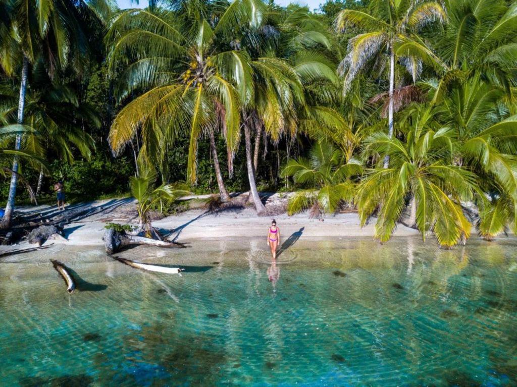 Coconut Hostel Bocas Town Dış mekan fotoğraf